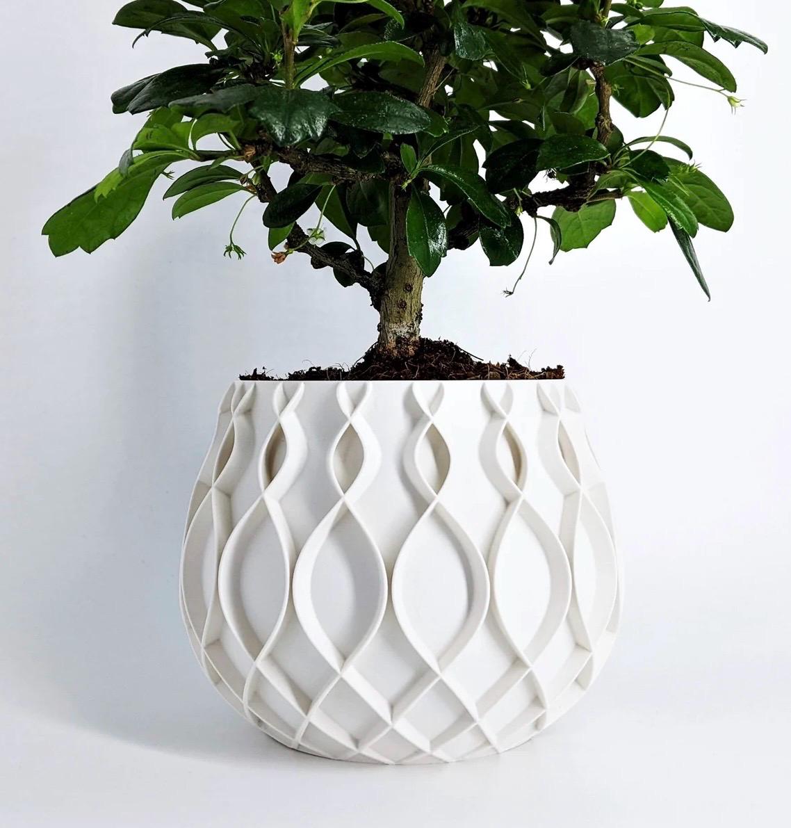 Cute Planter