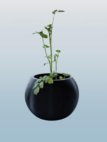 Plain Sphere Planter