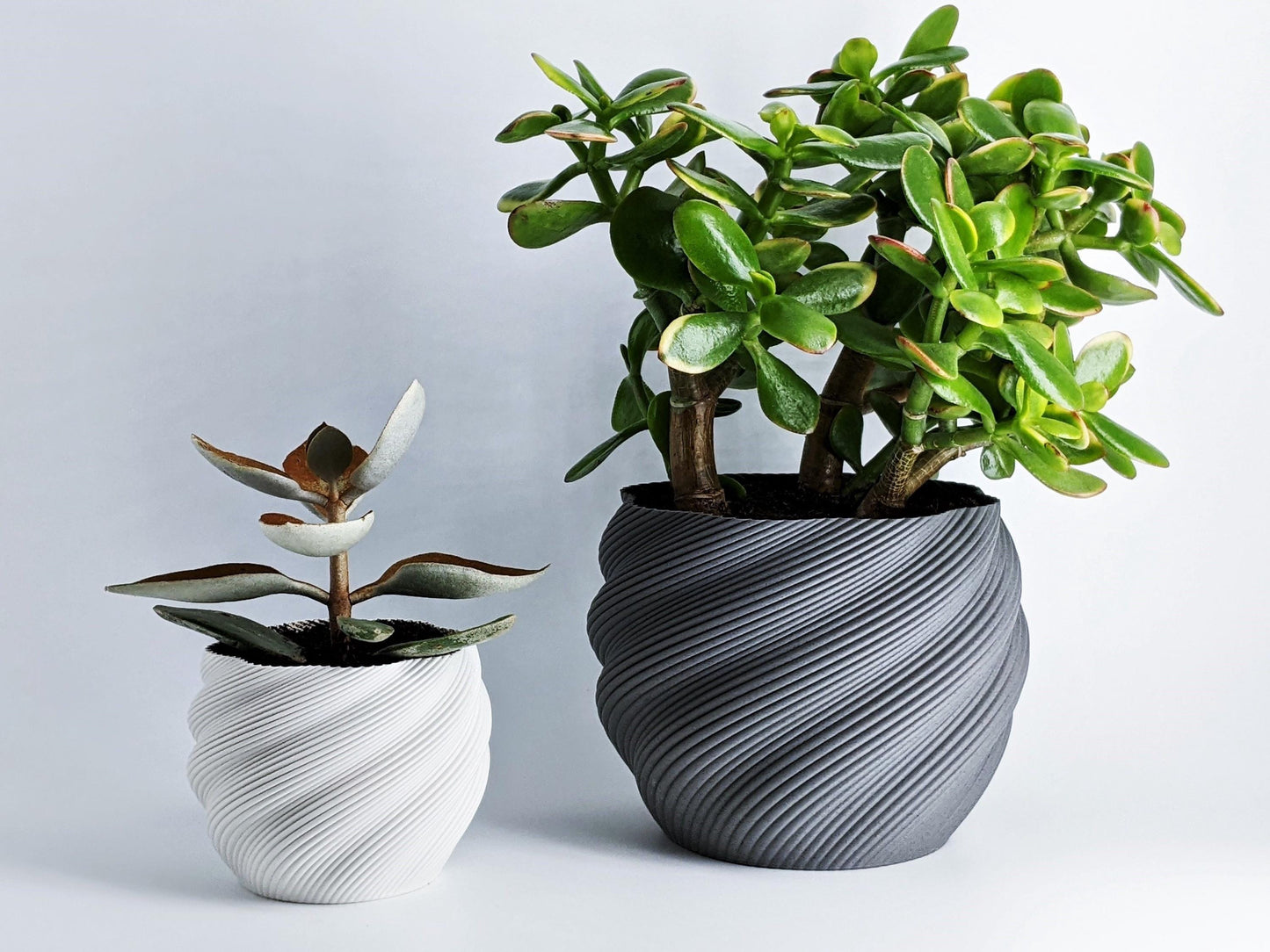 Modern 3D printed planter, Sleek Minimalist Design
